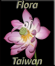 Flora of Taiwan - Taiwanese Plants